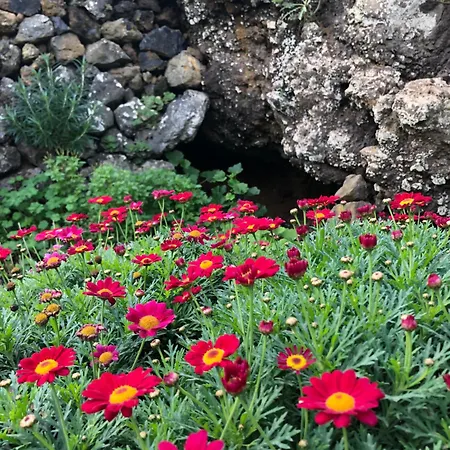 Casas Del Monte Ii ואלוורדה